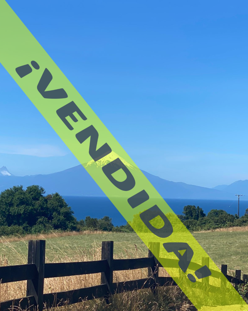 PARCELA DE ENSUEÑO - Totoral (Llanquihue - Frutillar) - portalsur